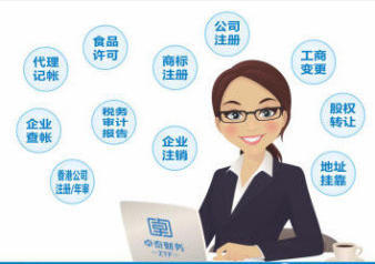 泰安企業服務指南 免費注冊與專業財稅代辦全解析