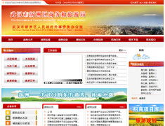 武漢網站建設與軟件開發 陸叁玖科技的專業服務指南